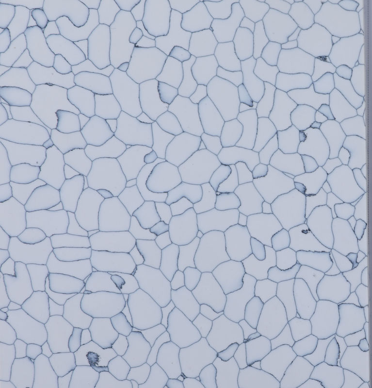 Protezione ESD Pavimento antistatico 600x600 Pavimento di plastica 1.8mm-3.0mm