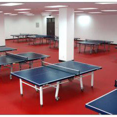 1.8m Larghezza Relle PVC Vinyl Tabella Tennis Corti di Pavimento Mat per l'allenamento