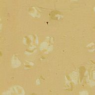 Pavimenti in gomma a relle La soluzione perfetta per spazi resistenti allo scivolamento e ad assorbimento degli urti
