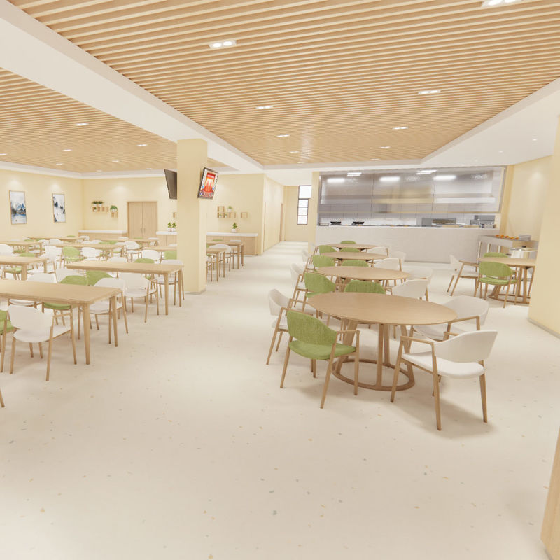 Pavimentazione speciale per la riabilitazione e l'assistenza nelle case di cura – Stile sicuro e igienico di grado medico