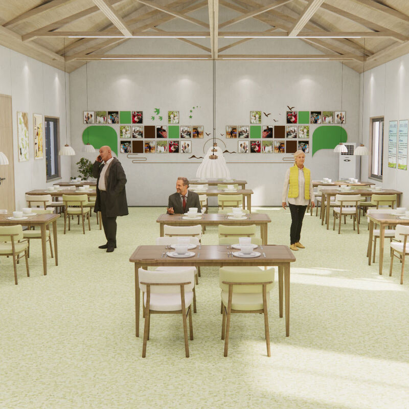 Pavimenti omogenei resistenti agli urti con superficie antirrottatura per le stanze dei pazienti delle case di cura