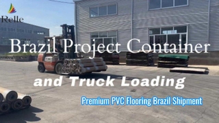 Brazil Project Container and Truck Loading